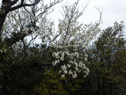 110322_131857.jpg