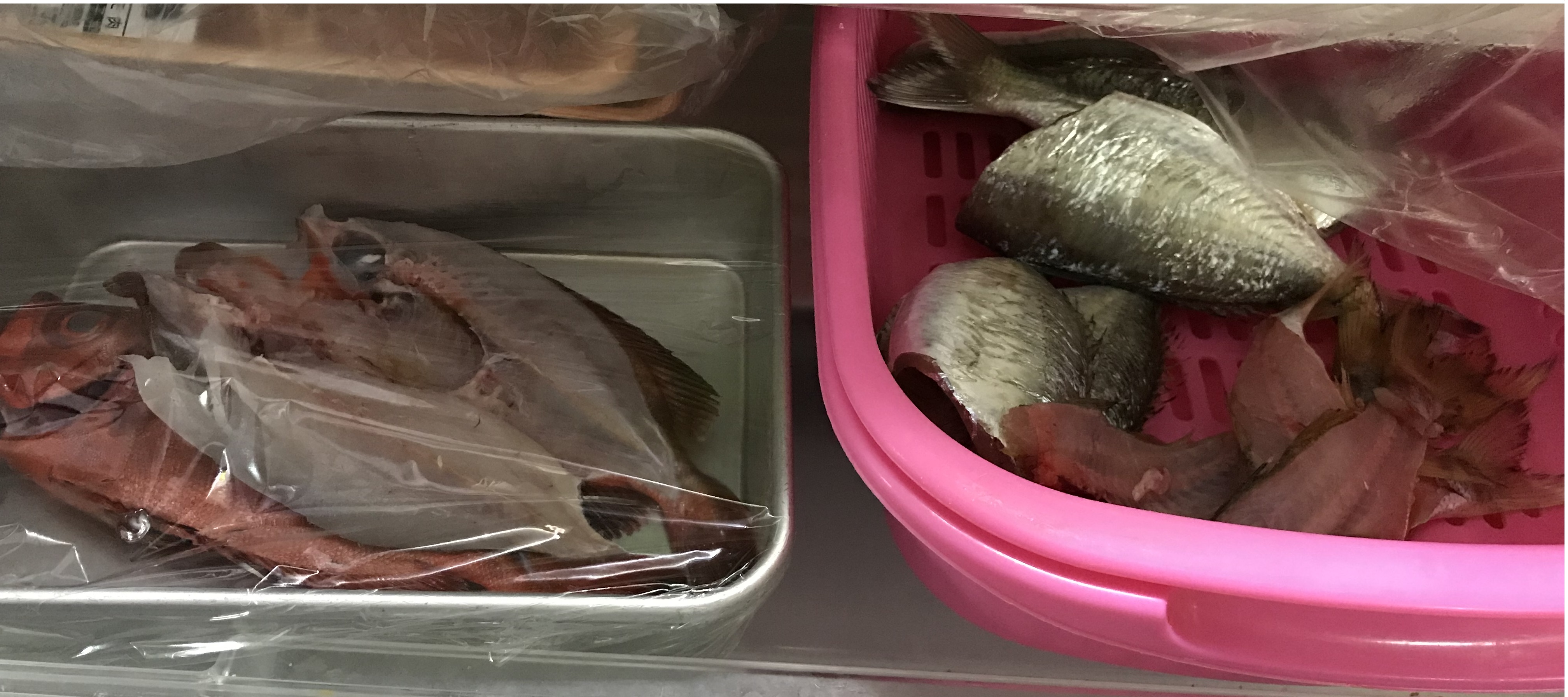漁師の娘presents 漁師の家の冷蔵庫の中あるある